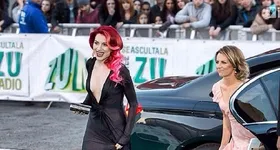 Galerie foto - poza 2