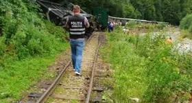 Galerie foto - poza 2