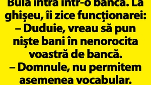 BANC | Bulă intră într-o bancă: "Duduie, vreau să pun niște bani în nenorocita voastră de bancă"