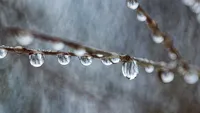 Vesti proaste! Vin ninsorile iar meteorologii au emis atentionare de COD GALBEN in aproape toata tara!