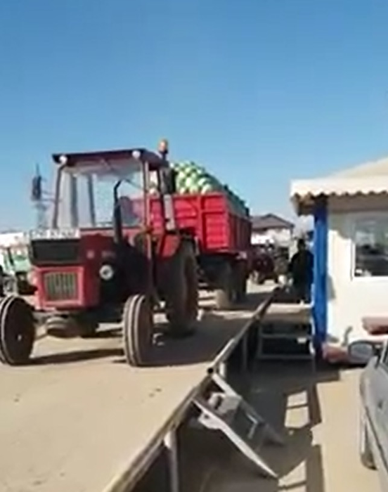 Tanti Miţa pe tractor