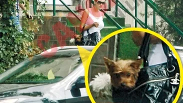 Printul e indragostit lulea! A intarziat la echipa pentru catelusii Biancai