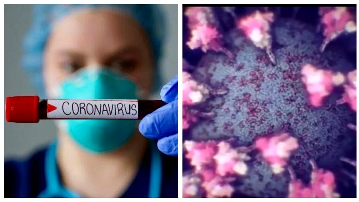 Oamenii de știință au publicat cea mai clară imagine a coronavirusului