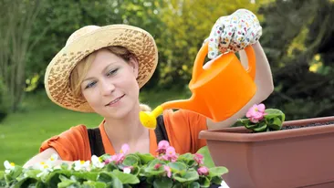 Sfaturi pentru ingrijirea florilor primavara