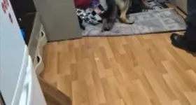 Galerie foto - poza 4