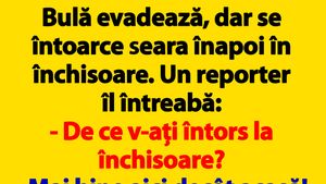 BANCUL ZILEI | Bulă evadează, dar se întoarce seara înapoi în închisoare