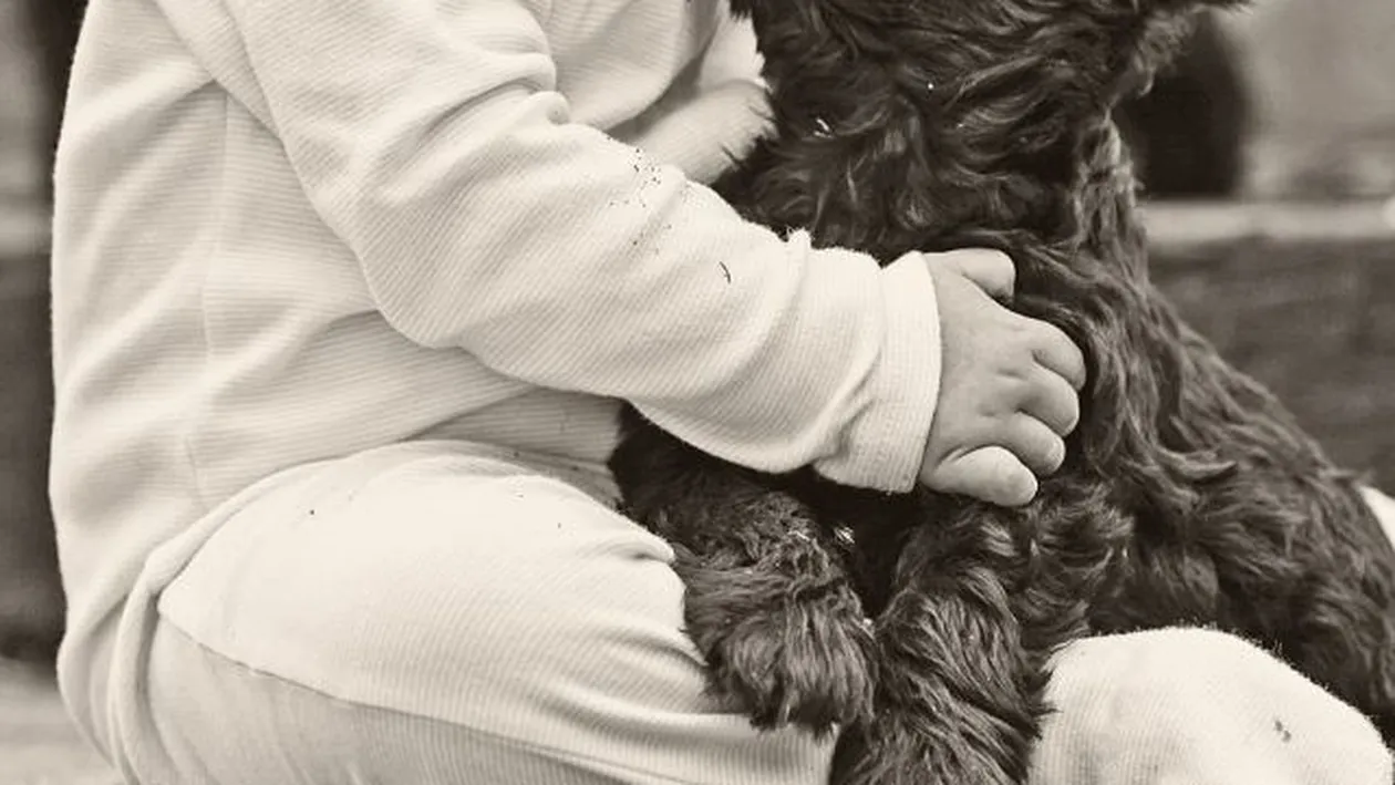 Imaginea de 1 MILIARD de LIKE-uri! “Cadoul” primit in dimineaţa de Crăciun a ajuns prietenul lui de o viaţă!