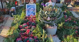 Galerie foto - poza 2