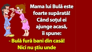 BANC | "Bulă fură bani din casă!"