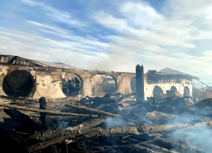 ferma dacilor victima