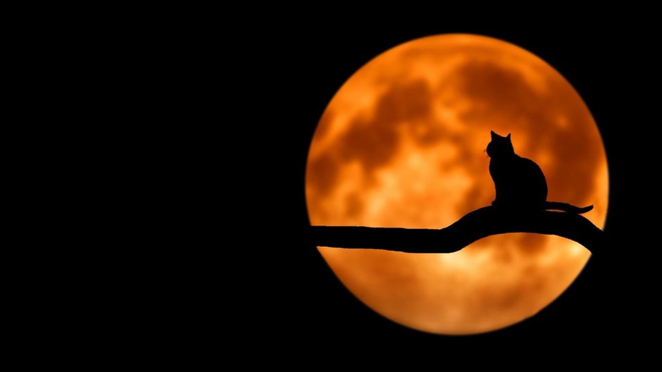 Horoscop zilnic 24 iulie 2021. Lună Plină în zodia Vărsător