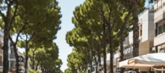 „Asta mă enervează, arde-i ouăle și scuipă în ele”: mesajul revoltător găsit de turiști pe bonul unui restaurant din Italia