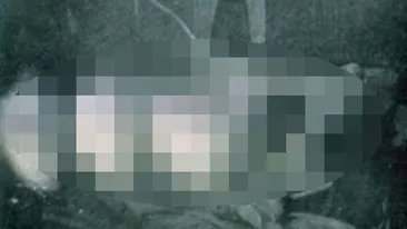 Aceasta imagine te va lasa fara respiratie! Ce a putut sa surprinda un fotograf la scurt timp dupa ce a murit acest barbat