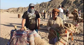 Galerie foto - poza 1