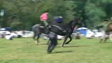 Incredibil cata cruzime! Taranii astia cu pretentii de cowboy alerga armasarii pe camp doar ca sa-i prinda in lasou - Vezi in ce hal ranesc caii