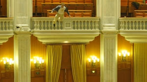 Când disperarea a căzut din balconul Parlamentului. Ce ne amintim azi despre gestul lui Adrian Sobaru
