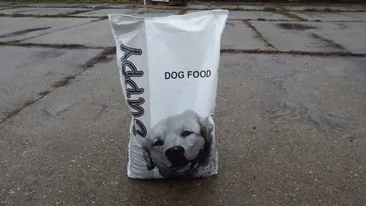 Gest impresionant al unei fetițe din Carei! Ce a făcut cu banii primiți de Crăciun