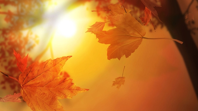 Toamna nu vrea sa apara! Uite ce temperaturi caniculare vor fi in zilele urmatoare!