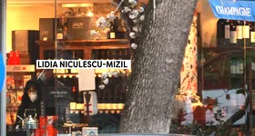 Galerie foto - poza 4