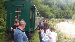 Accident terifiant pe Valea Vaserului. Mocănița a deraiat cu peste 300 de turiști în vagoane, sunt 11 răniți