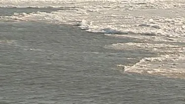 Porturile sunt deschise pe Dunare, iar opt nave sunt blocate de gheata!