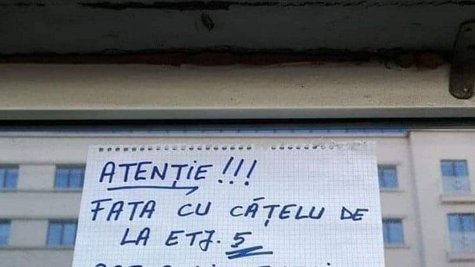 Anunțul de la avizierul unui bloc din București face ravagii pe internet. Ce a putut să scrie un locatar depășește orice imaginație