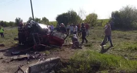 Galerie foto - poza 1