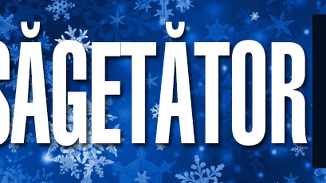 HOROSCOP 2017 CARIERĂ - SĂGETĂTOR