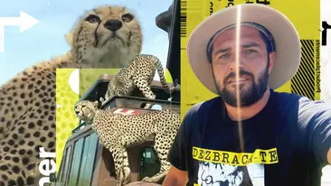 Cătălin Cazacu, senzații tari în Zanzibar. “Felinele aflate la vânătoare s-au urcat pe mașină”