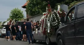 Galerie foto - poza 3