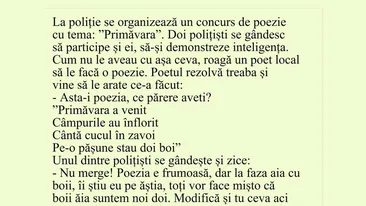 BANCUL ZILEI | Cântă cucul în zăvoi, pe-o pășune stau doi boi