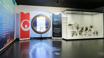 Veolia România susține lupta împotriva plasticului printr-o dioramă multimedia expusă la Muzeul Național de Istorie Naturală ,,Grigore Antipa”