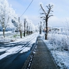Iarnă cum nu a mai fost în Europa. Facturile la energie ar putea exploda