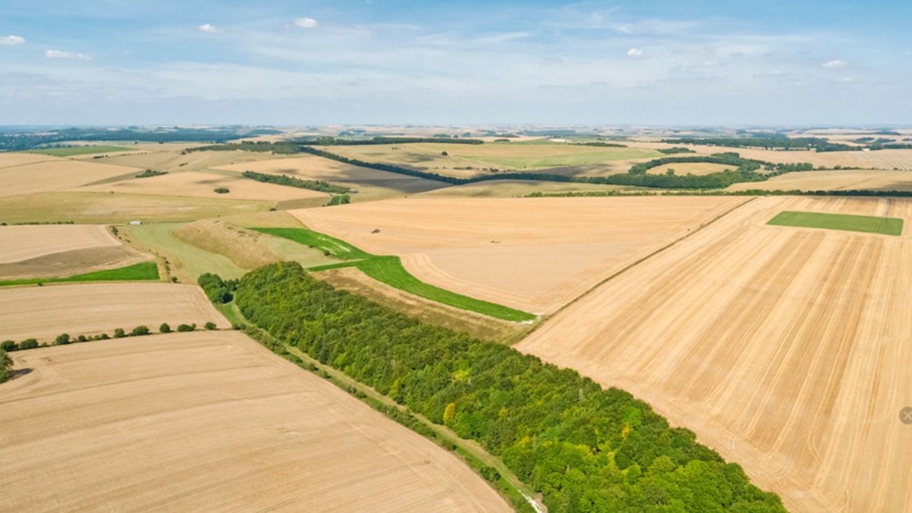 Cât teren dețin străinii în România, de fapt. Procentul nu este unul foarte mare