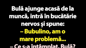 Bancul de luni | Bulă, Bubulina și persoana I plural