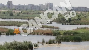 Actiunea de ecologizare a Lacului Vacaresti incepe sambata! Zeci de voluntari participa la evenimentul: Delta Vacaresti, un plaman in Bucuresti