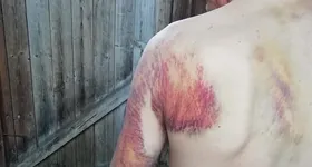 Galerie foto - poza 2