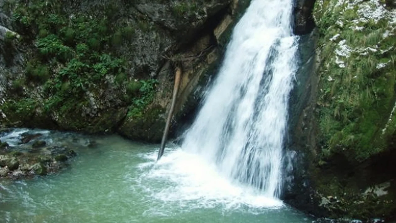 Locul unic din Romania unde cresti intr-o zi cat altii intr-un an! Apa vie din Apuseni!