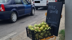 O femeie din Brașov oferă pere gratis șoferilor blocați în trafic. Ce a găsit românca în lădiță după gestul făcut: ”M-a impresionat!”