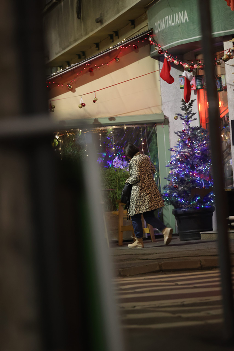 Marian Vanghelie și amica lui părăsesc restaurantul