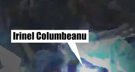 Galerie foto - poza 2