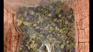 Aflată în vacanță, Maria din București a cumpărat această pungă de la un "domn" din Grecia. Ce este în ea, de fapt