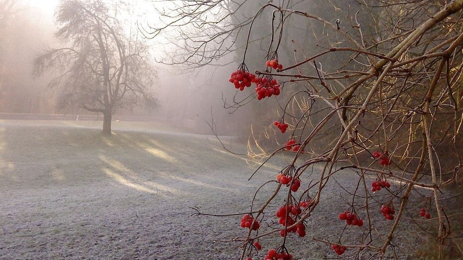Prognoza meteo 6-18 noiembrie. Vremea se schimbă radical în următoarele două săptămâni: Ploi abundente și temperaturi negative