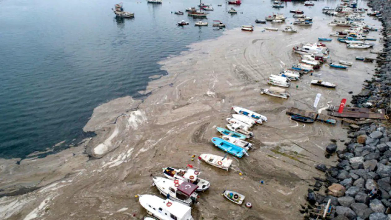 Marea Marmara, sufocată de un fenomen neobișnuit! Autoritățile din Turcia sunt în alertă. „Dacă ajunge în Marea Neagră, problema va fi uriașă”