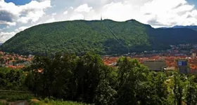 Galerie foto - poza 1