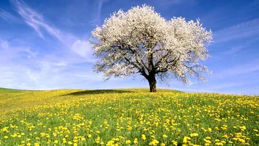 Anuntul facut de meteorologi: cum va fi vremea pana in luna iunie!