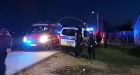 Galerie foto - poza 2