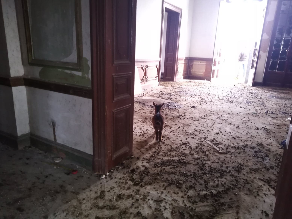 Minunea arhitectonică de la Mehedinți a ajuns adăpost pentru capre