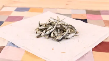 Uite hamsia, nu e hamsia! Cum îți dai seama de ce comanzi pe litoral, la „împinge-tava”