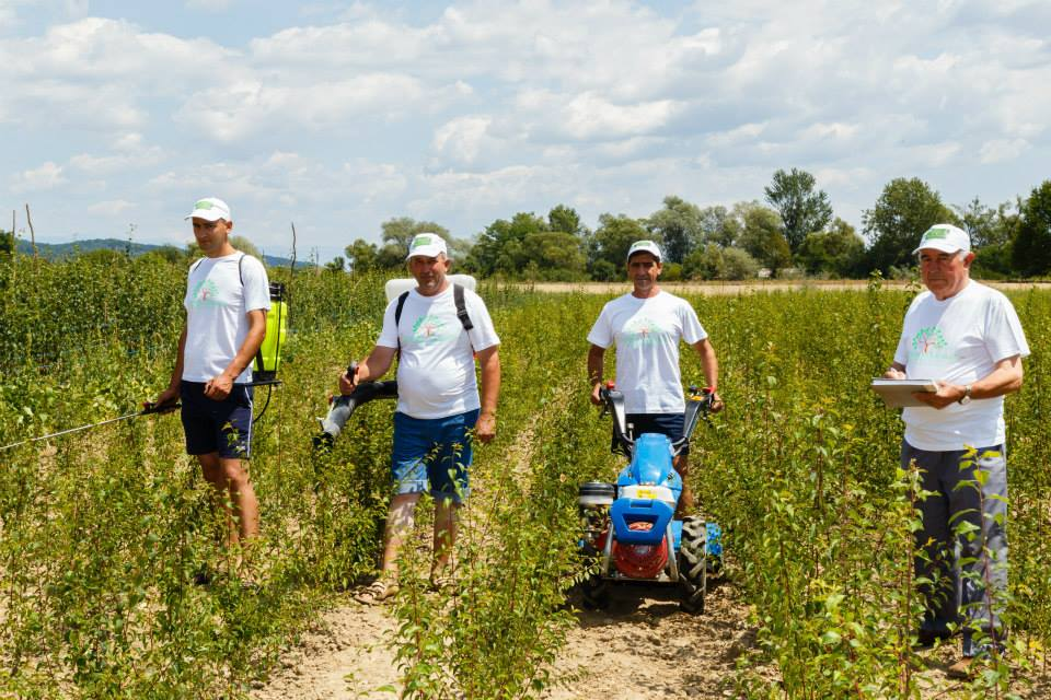 Pepiniera fostului miner a devenit cea mai mare din Oltenia